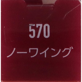 라스팅 프로보컬립스 립 컬러 570 리멜