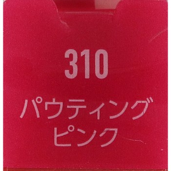 라스팅 프로보컬립스 립 컬러 310 리멜