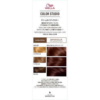 웰라 컬러스튜디오 컬러 시나몬브라운 60g+60ml Wella AG