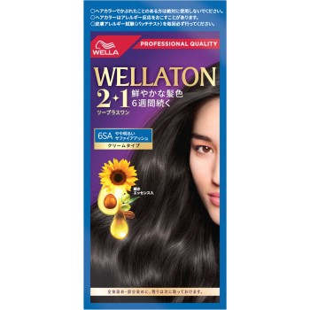 웰라톤 2+1 크림 타입 6SA 60g+60ml Wella AG