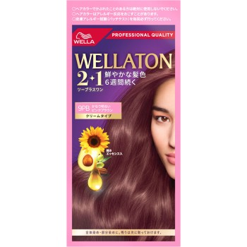 웰라톤2+1 크림타입 9PB 60g+60ml Wella AG