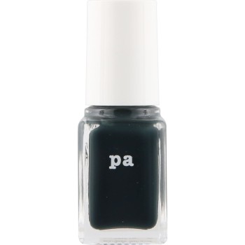 pa nail collective 네일컬러 S0 73 디아로라