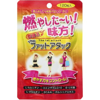 팻어택 120정 리얼넷