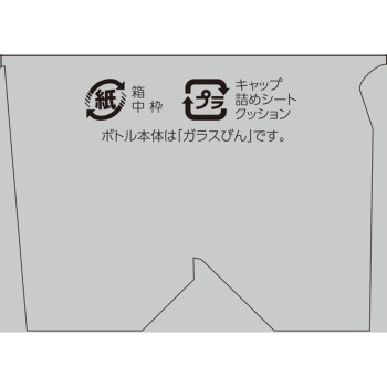 L-카르니틴 스트롱 170알 웰니스라이프사이언스