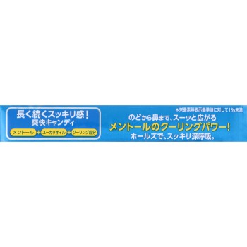 홀즈 오션 블루 12알