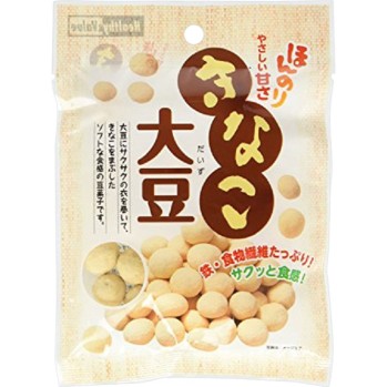 Healty&Value 콩가루 대두 48G