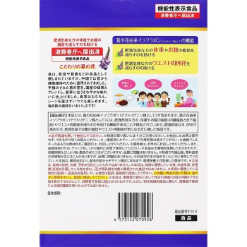 갈화차 40포 니혼야쿠켄