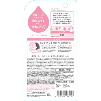 촉촉미스트+ 65g 디알