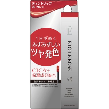 ETOILE ROSE 틴트립 N 02 카렌 4g