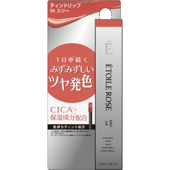 ETOILE ROSE 틴트립 N 04 엘리 4g