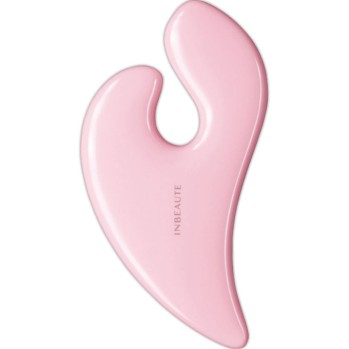 Pastel CAXA 핑크 MTG