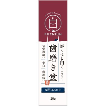 치약당 약용화이트닝페이스트 프리미엄 트라이얼 20g blessing