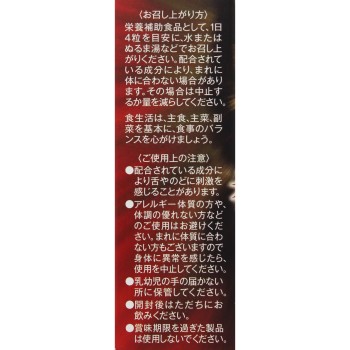 불타는 야랑 팩 12알 겐키