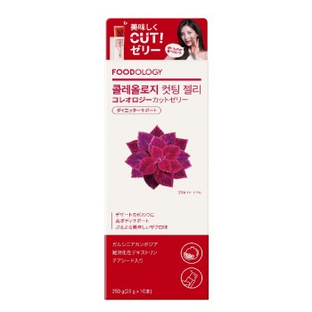 콜레오로지컷젤리 10개 한국고려인삼사