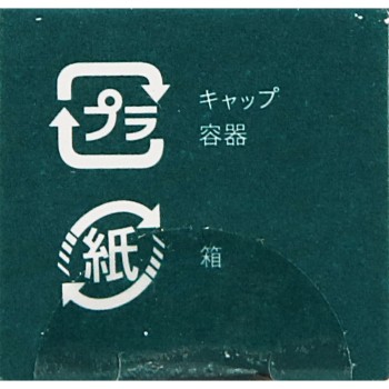 b idol 통통립 R 01 몰래핑크 _ 가네보