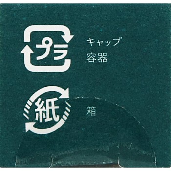 b idol 통통립 R 03 뜸들이기플럼 _ 가네보