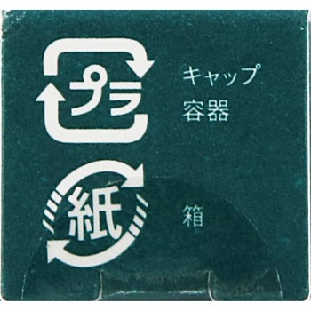 b idol 쪽빛글로시립 R 04 사랑받는PINK _ 가네보