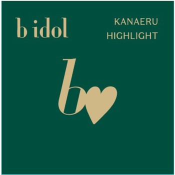 b idol 이뤄주는 하이라이터 02 콧대화이트 _ 가네보
