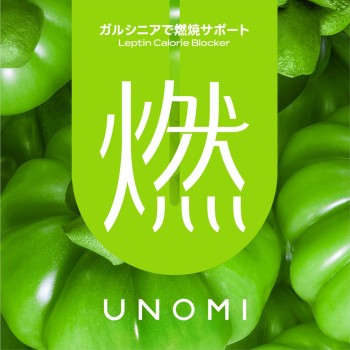 연소 가르시니아로 연소서포트 20포