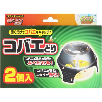 초파리 잡기 2개 라이온 케미컬