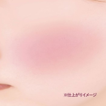 캔메이크 파우더 치크스 P40th 이다라보라토리즈