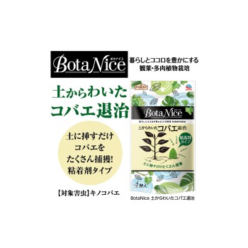 BotaNice 토양에서 나오는 날파리 퇴치 점착제 타입 4개입 관엽식물 해충 구제 4개 어스제약