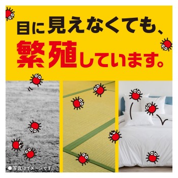 다니아스 카펫·다다미용 진드기 구제 스프레이 300ml 아스제약