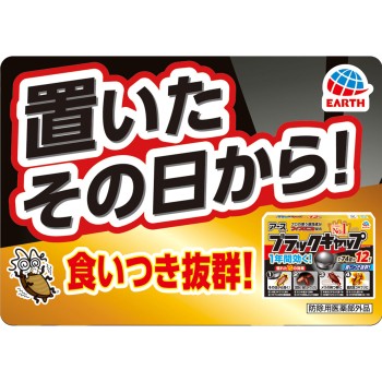 블랙 캡 1년간 효과! 부엌이나 세면대 아래 등의 바퀴벌레 대책 구제용 독 미끼제 12개입 아스제약