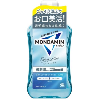 몬다민 스파이시 민트 마우스 워시 1000ml 아스제약