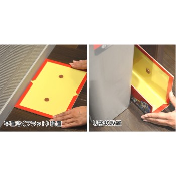 쥐 호이호이 츄바이츄(접힌 선 있음) 거치형 쥐용 포획기 2세트 아스제약