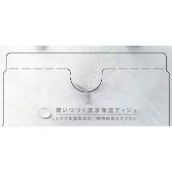 네피아 비세레브 티슈 200W 오지네피아