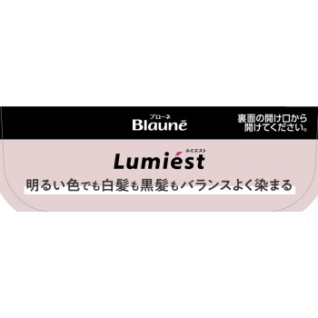 블로네 루미에스토 헤어컬러 2P 보르도 핑크 108g 카오