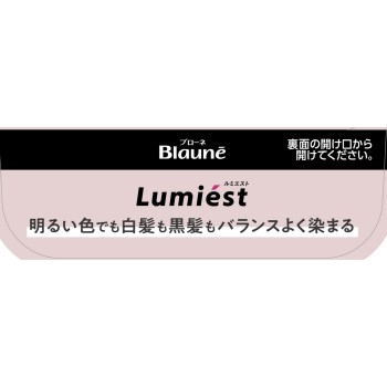 블로네 루미에스트 헤어 컬러 1WB 웜 브라운 108g 카오