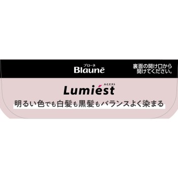 브로네 루미에스트 헤어컬러 1B 내추럴브라운 108g 카오
