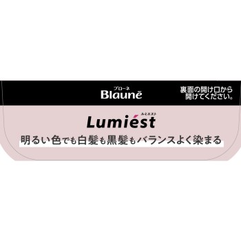 브로네 루미에스트 헤어컬러 1M 매트 애쉬 108g 카오