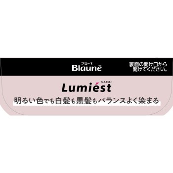 블로네 루미에스트 헤어 컬러 1A 쿨 애시 108g 카오