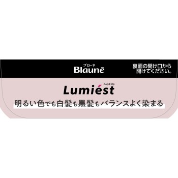 브로네 루미에스트 헤어 컬러 2A 스타일리쉬 애쉬 108g 카오