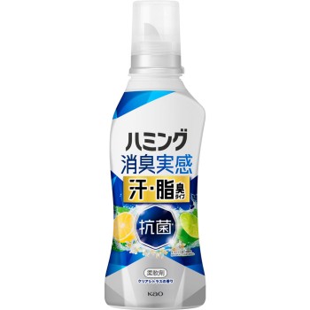 해밍 소취실감 땀·기름 냄새 타입 클리어시트러스 본체 500ml 카오