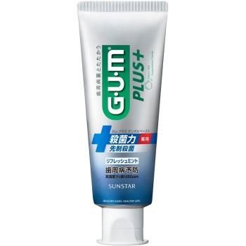 검 플러스 페이스트 리프레쉬 민트 120g 썬스타