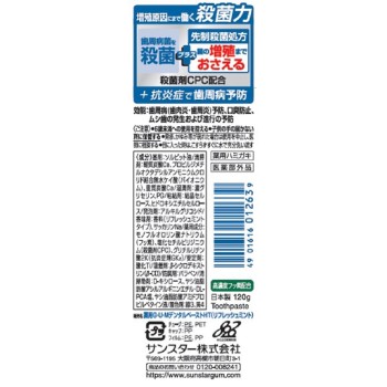 검 플러스 페이스트 리프레쉬 민트 120g 썬스타