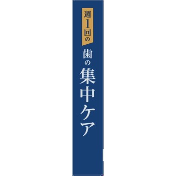 오라 투 프리미엄 클렌징 페이스트 프리미엄 민트 17g 썬스타