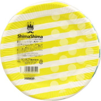 줄무늬 페이퍼 플레이트 10매입