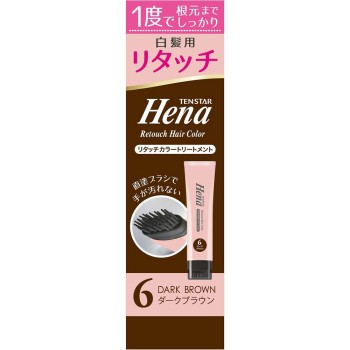 텐 스타 리터치 컬러 트리트먼트 DARK BROWN 65g 산보
