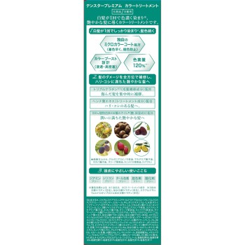 프리미엄 컬러 트리트먼트 애시 블랙 200g