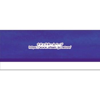 나치유라 밤에 붙여 아침에 안심 흡수 패드 130cc 16매 다이오제지