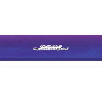 나츄라 밤에 붙이고 아침에 안심 흡수 패드 180cc 14매 다이오제지