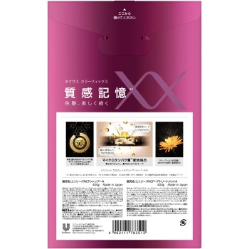 넥서스 컬러픽스 펌프 페어 400g+400g 유니레버 재팬