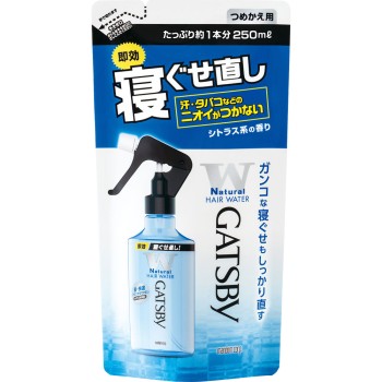 개츠비 자는 동안 머릿결 정리 워터 리필 250ml 만담