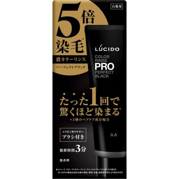 루시도 컬러린스PRO 퍼펙트블랙 120g 만담