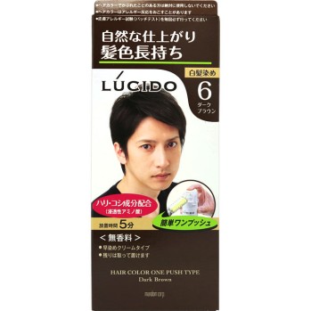 루시도 원푸시 케어 컬러 6 다크브라운 1제50g・2제50g 만담